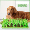 NeatNibble™ Worry-Free Food Mat