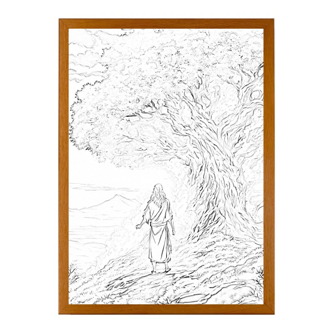 GlowCanvas™ Immersive Wall Illumination