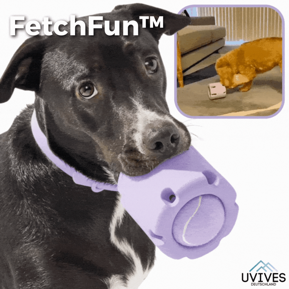 ChewChamp™ Interactive Playmate Toy