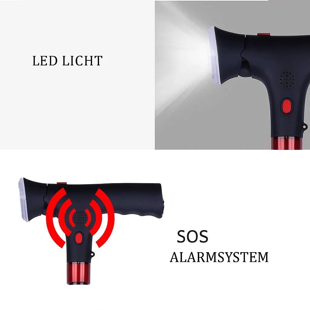 LumiWalk™ Guided Night Walks