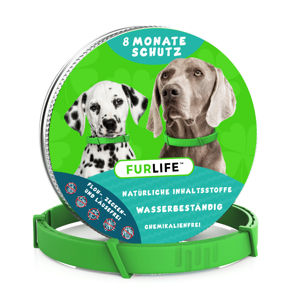 CollarSafe™ Flea Repellent Collar