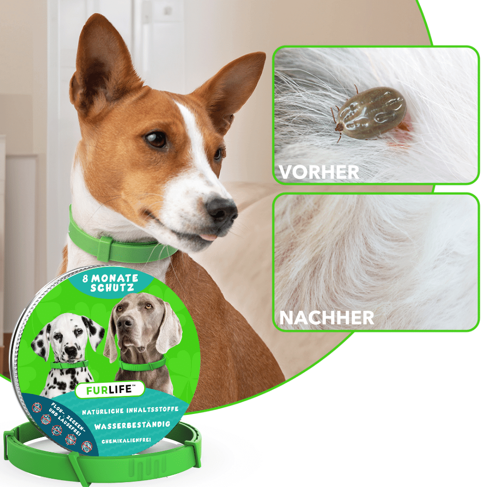 CollarSafe™ Flea Repellent Collar