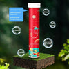 SoilBoost™ Revive Dead Plants