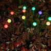 FireflyGlow™ Enchanting Sparkle Show