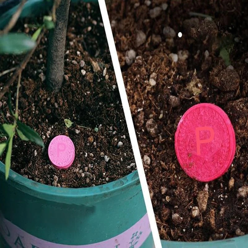 SoilBoost™ Revive Dead Plants