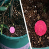 SoilBoost™ Revive Dead Plants