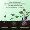 SoilBoost™ Revive Dead Plants