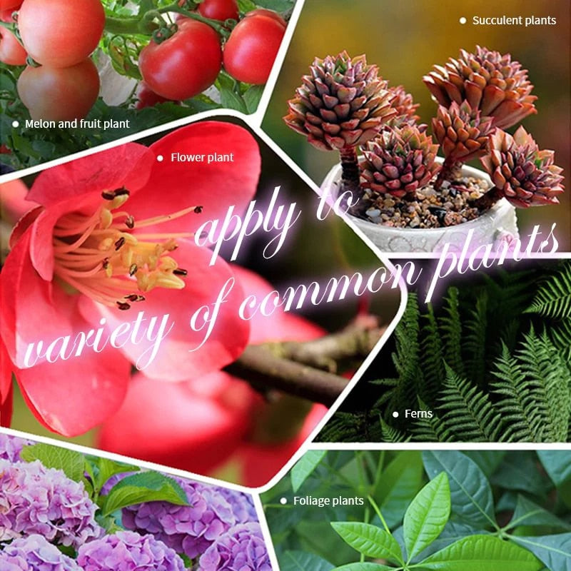 SoilBoost™ Revive Dead Plants