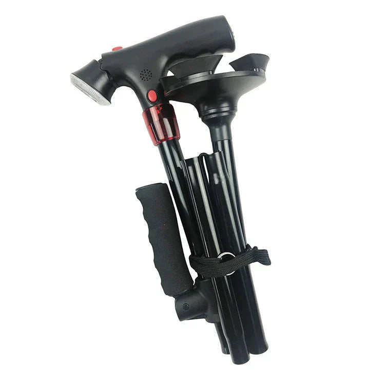 LumiWalk™ Guided Night Walks