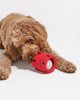 ChewChamp™ Interactive Playmate Toy