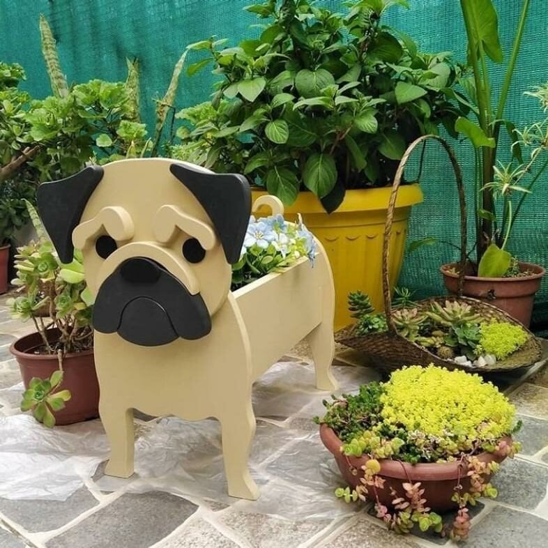 PawPlanter™ Playful Nature Accent