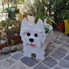 PawPlanter™ Playful Nature Accent