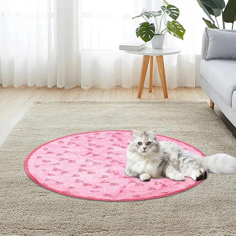 CatQuest™ Interactive Fun Zone