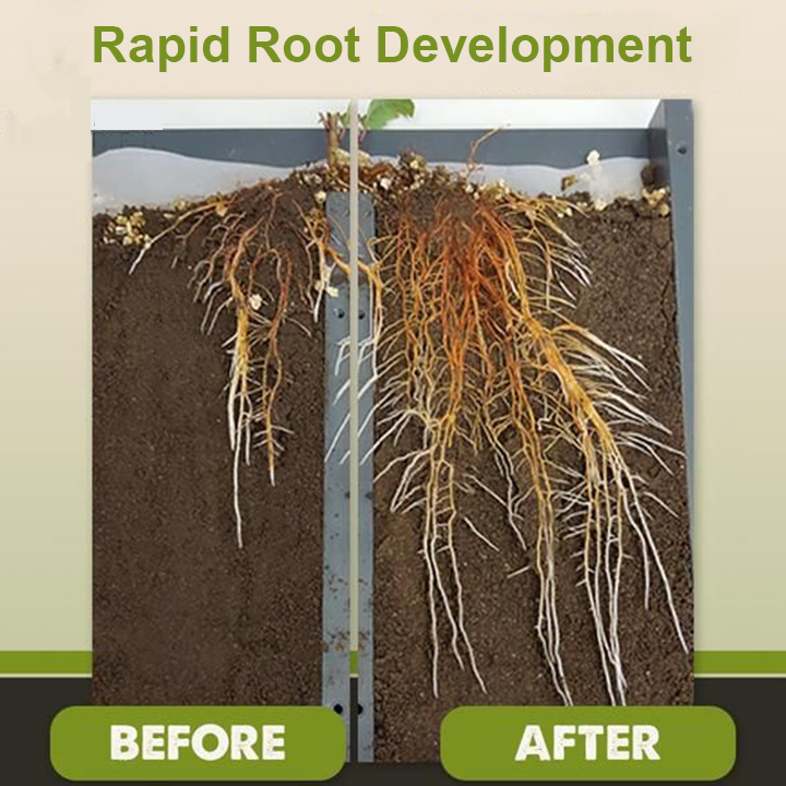1+1 Free | VitalBloom™ Strengthen Plant Growth