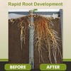 1+1 Free | VitalBloom™ Strengthen Plant Growth