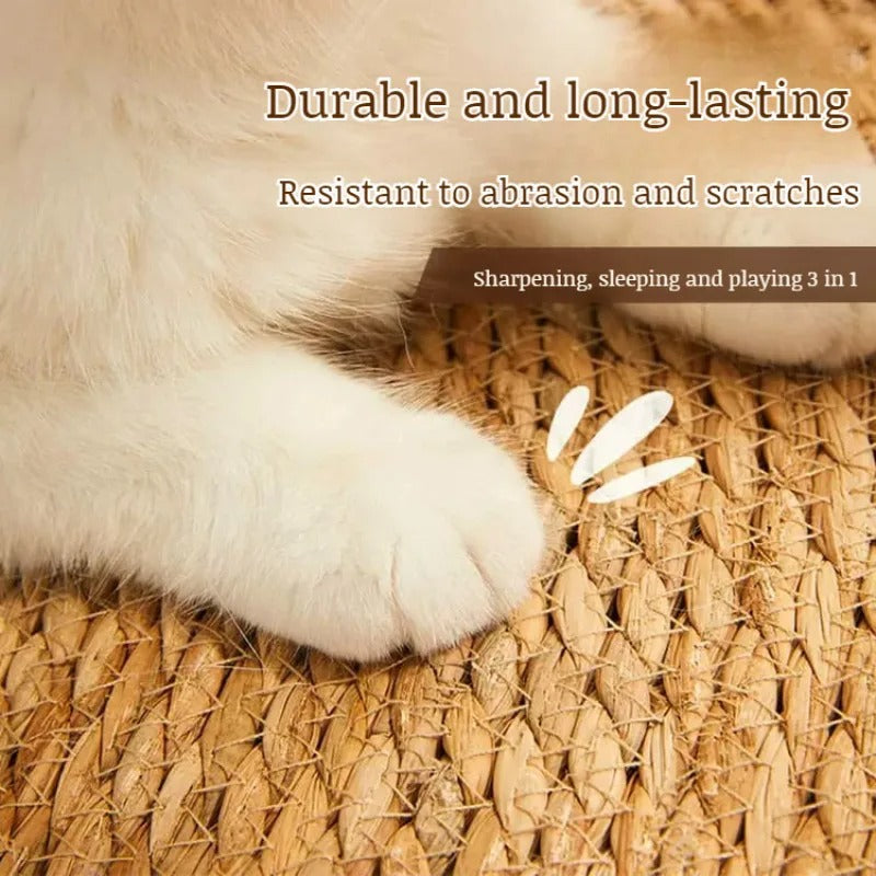 ClawPad™ Durable Cat Entertainment
