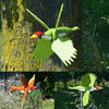 WhimsyMill™ Enhances Outdoor Aesthetics