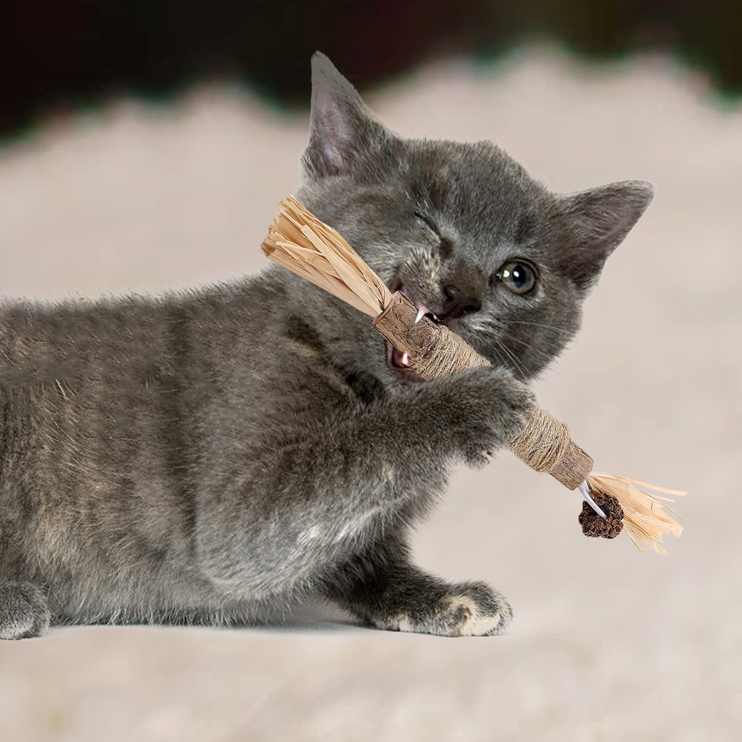 KittyBite™ Teeth Cleaning Delight