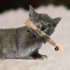KittyBite™ Teeth Cleaning Delight