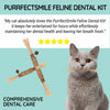 KittyBite™ Teeth Cleaning Delight