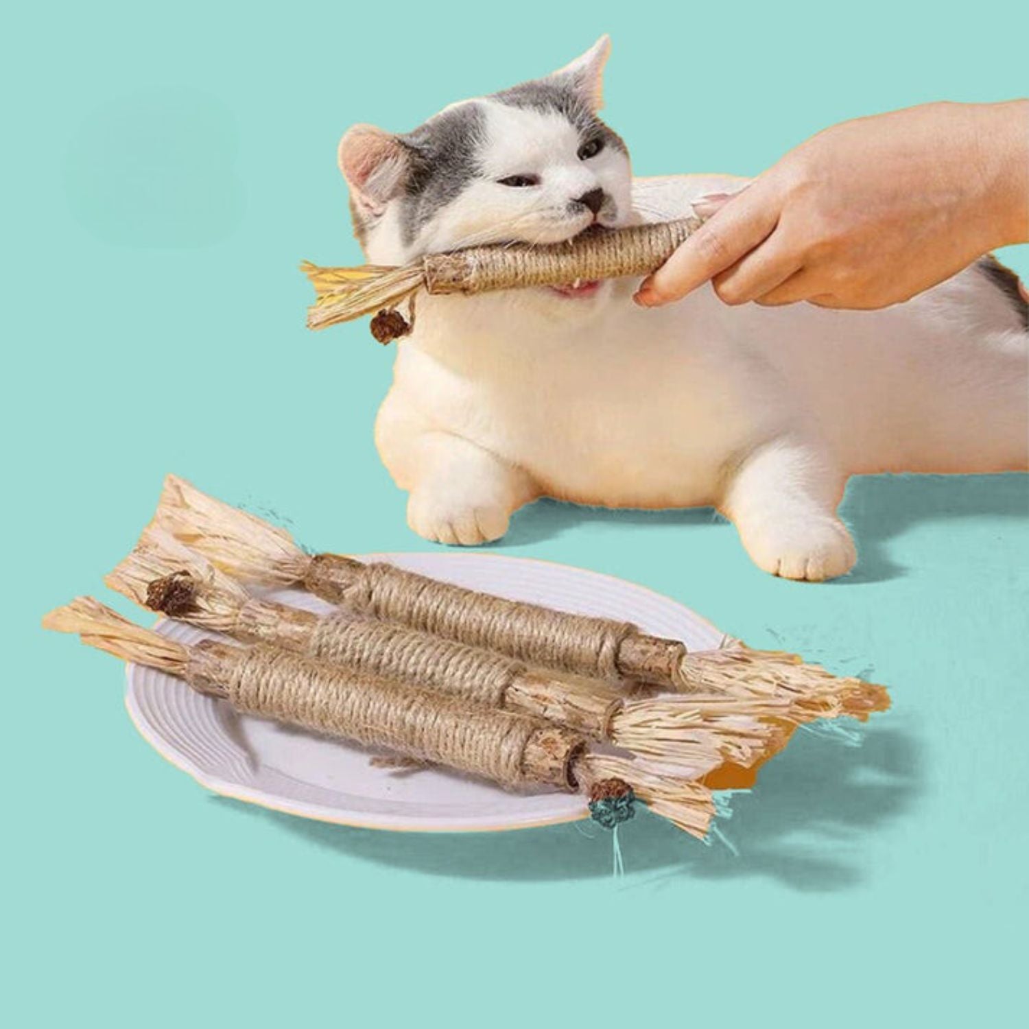 KittyBite™ Teeth Cleaning Delight