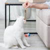 KittyBite™ Teeth Cleaning Delight