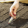 1+1 Free | EcoSeeder™ Planting Made Simple