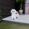 PawPlanter™ Playful Nature Accent