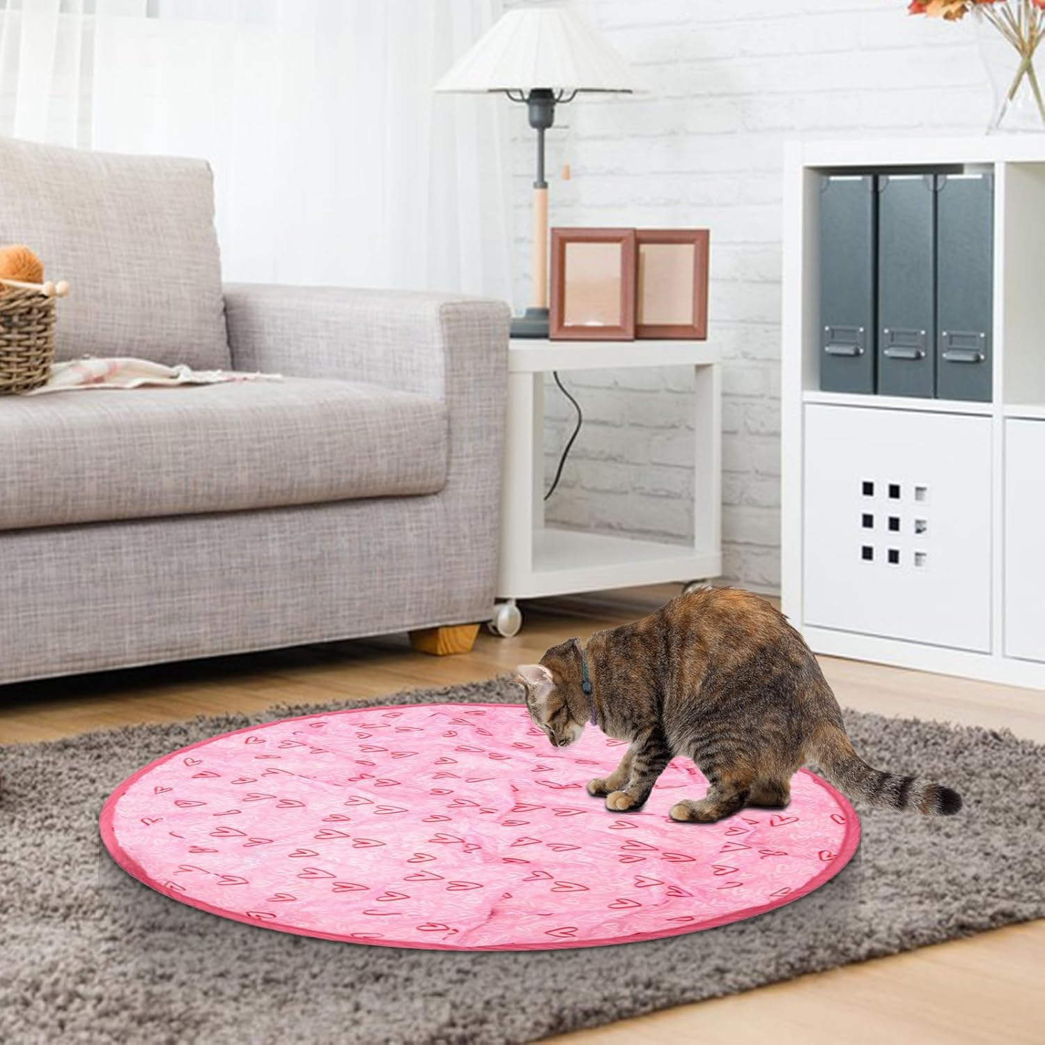 CatQuest™ Interactive Fun Zone