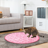 CatQuest™ Interactive Fun Zone