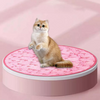 CatQuest™ Interactive Fun Zone