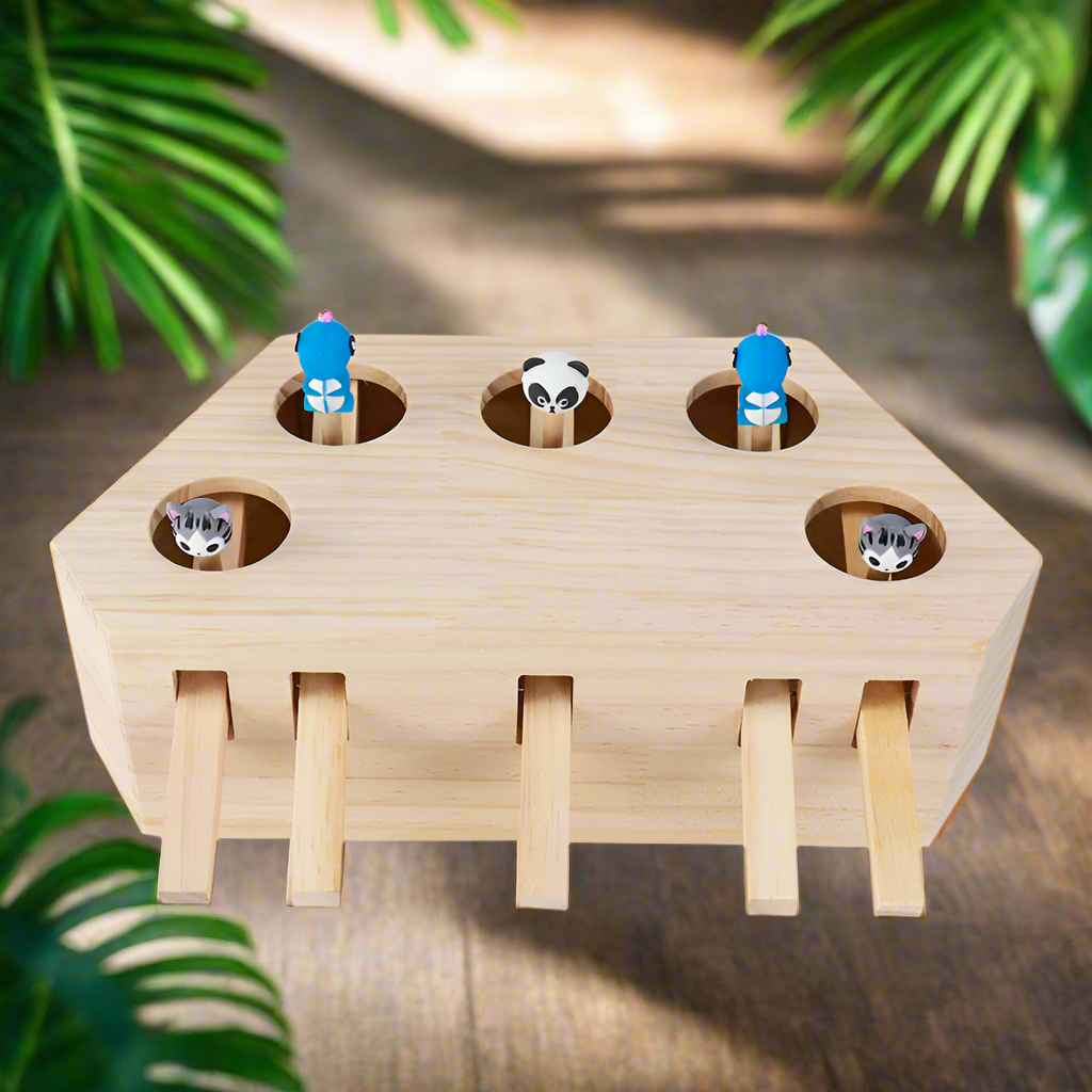 PlayBounce™ Active Pet Entertainment