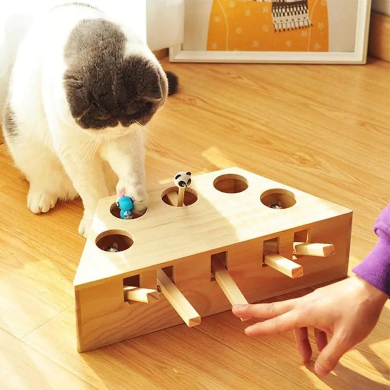 PlayBounce™ Active Pet Entertainment