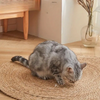 ClawPad™ Durable Cat Entertainment