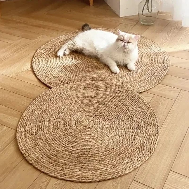 ClawPad™ Durable Cat Entertainment
