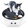 FelineFrenzy™ Promotes Active Play