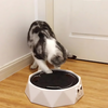 FelineFrenzy™ Promotes Active Play