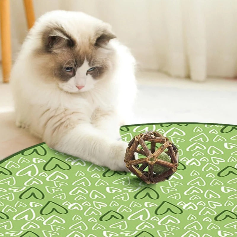 CatQuest™ Interactive Fun Zone