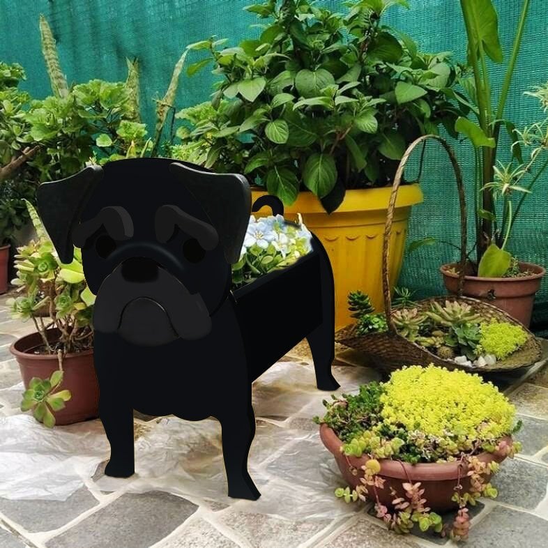 PawPlanter™ Playful Nature Accent