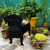 PawPlanter™ Playful Nature Accent