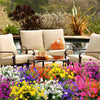 EverBloom™ Nature-Inspired Wonder