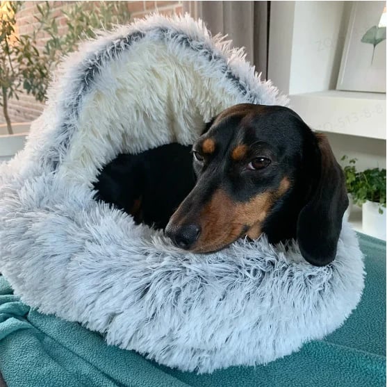 ComfyPaws™ Dreamy Pet Retreat