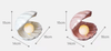 AuraShell™ Warm Decorative Light