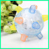 JumpBall™ Paws-on Playtime