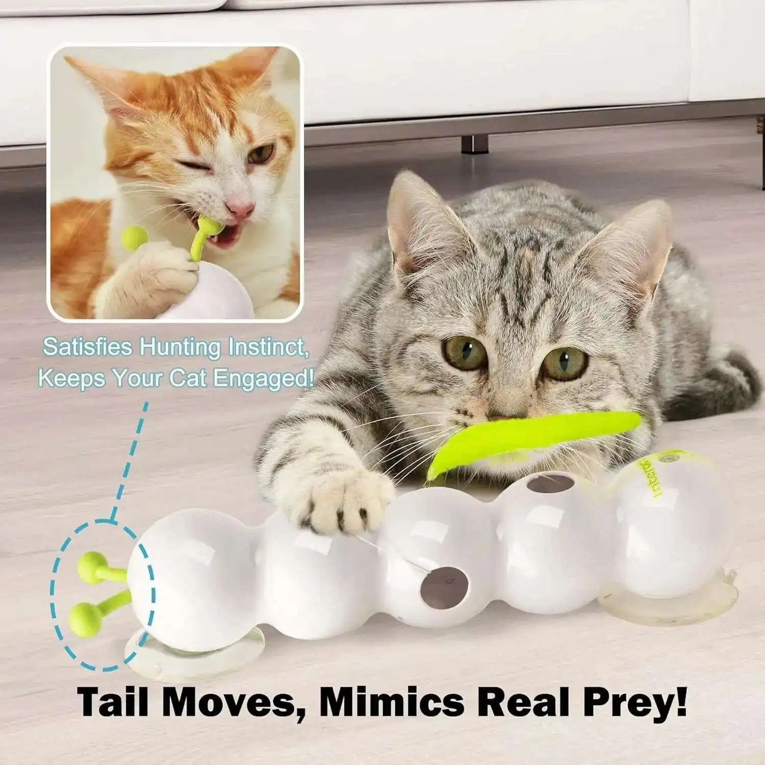 WiggleWorm™ Stimulates Hunting Instinct