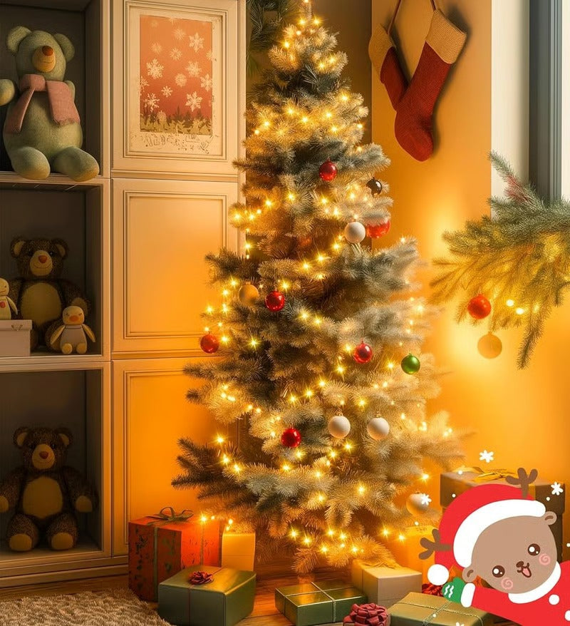 MerryBeam™ Transform Holiday Nights