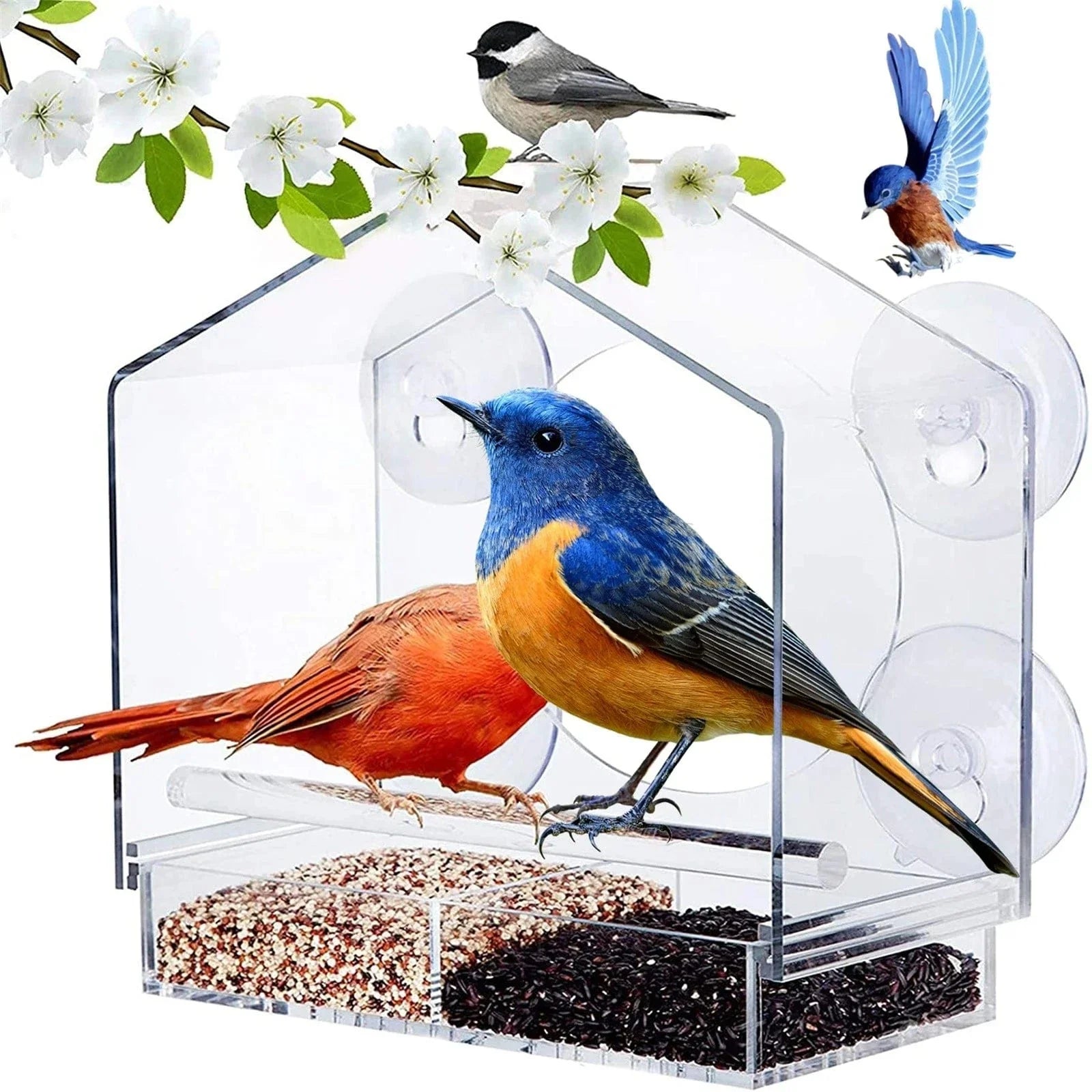 SkyFeed™ Effortless Bird Feeding