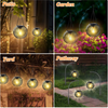 1+1 Free | LumiLight™ Decorative Solar Brilliance