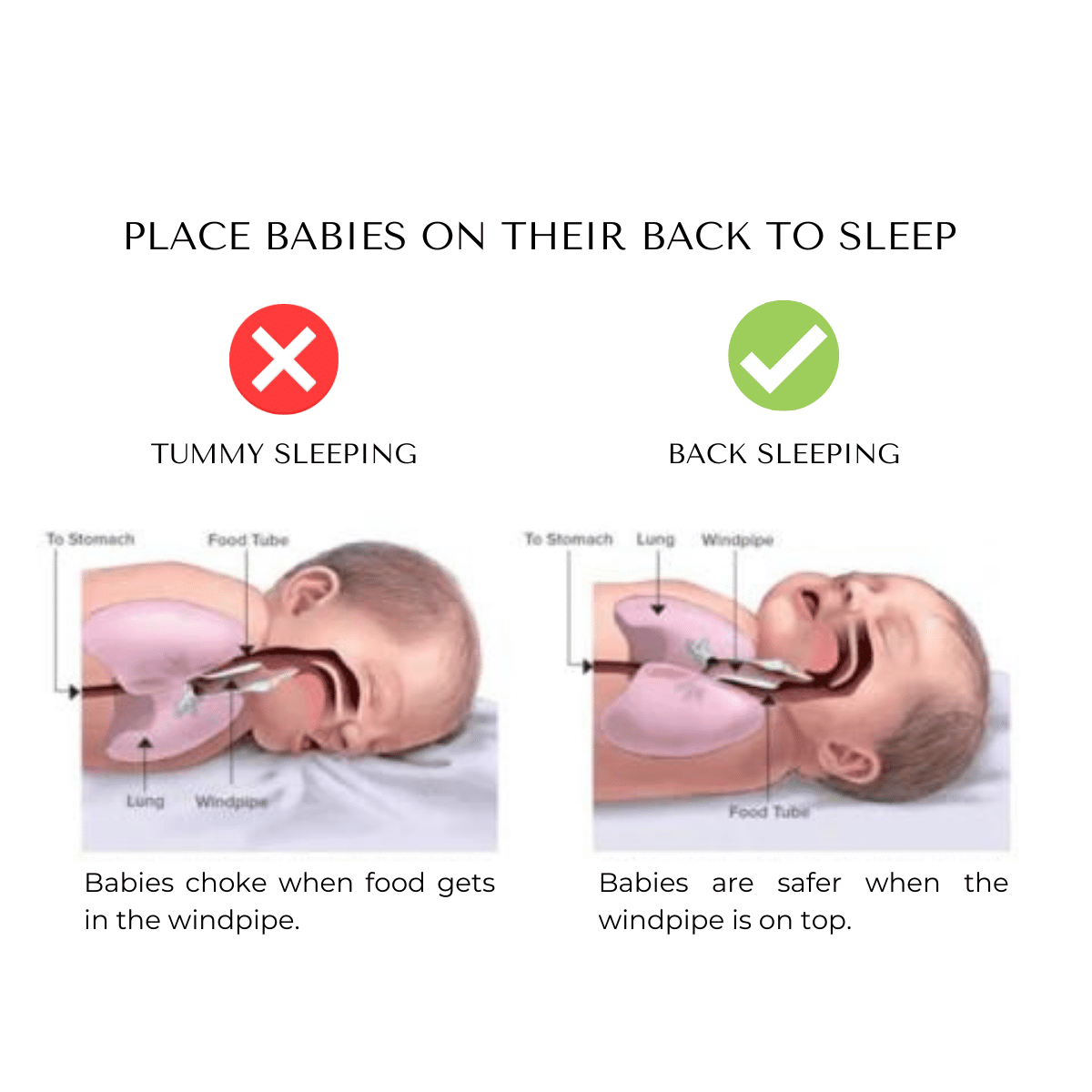BabyNest™  Healthy Neck Support