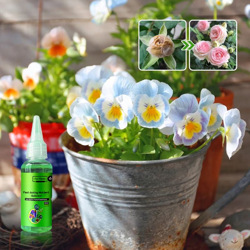 1+1 Free | GreenBoost™ Plant Nutrient Solution